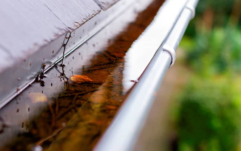 Limpieza de canalones en Alcalá de Henares