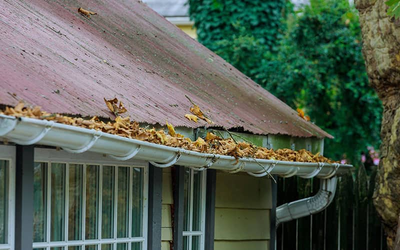 Limpieza de canalones en Alcalá de Henares